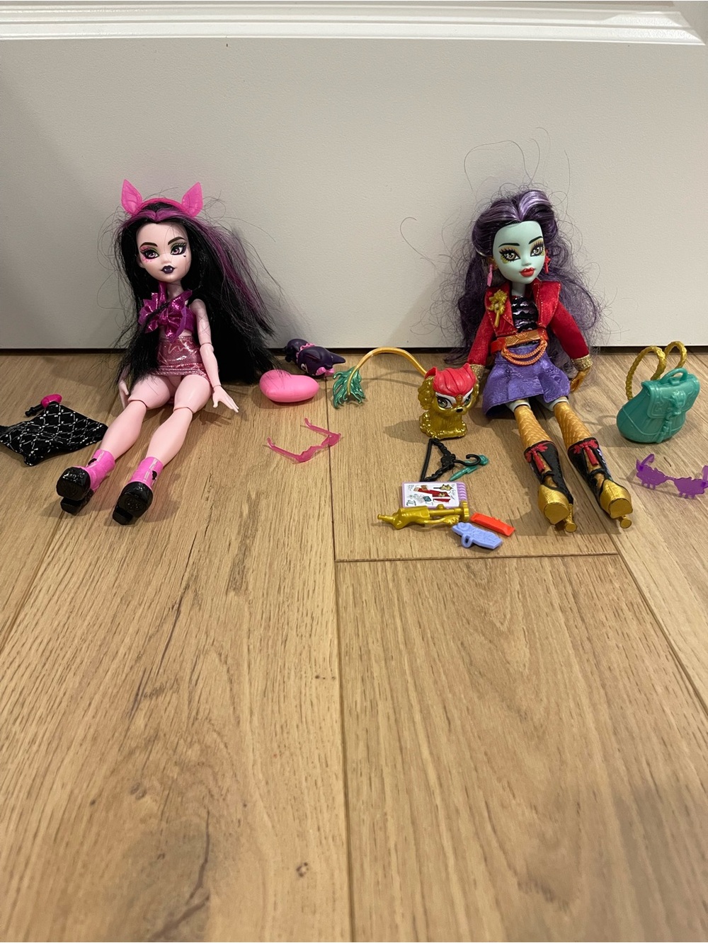 Set of 2 monster high Pink & Purple Duo with Accessories